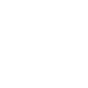 ico6